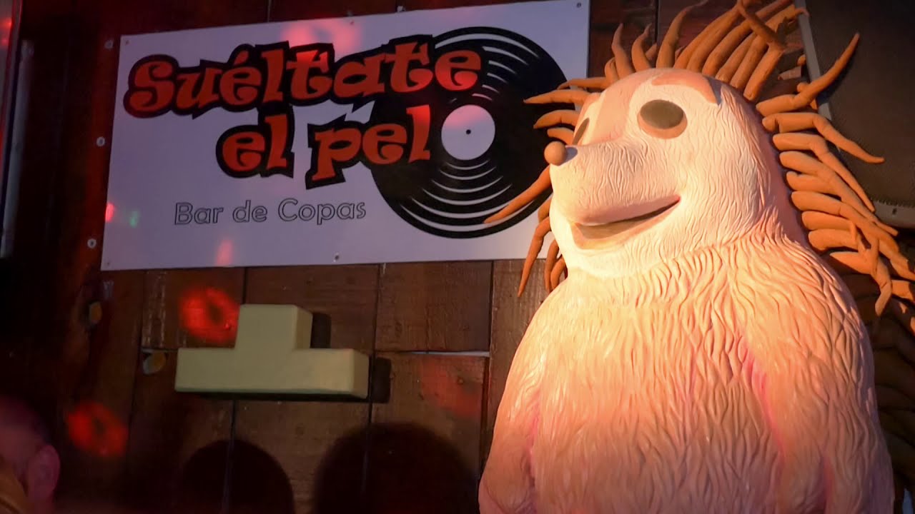 SUELTATE EL PELO 